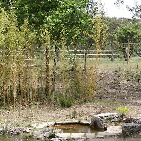 Le Plan-de-la-Tour Villa Villekulla Dependance Avec Spa Privatif מראה חיצוני תמונה