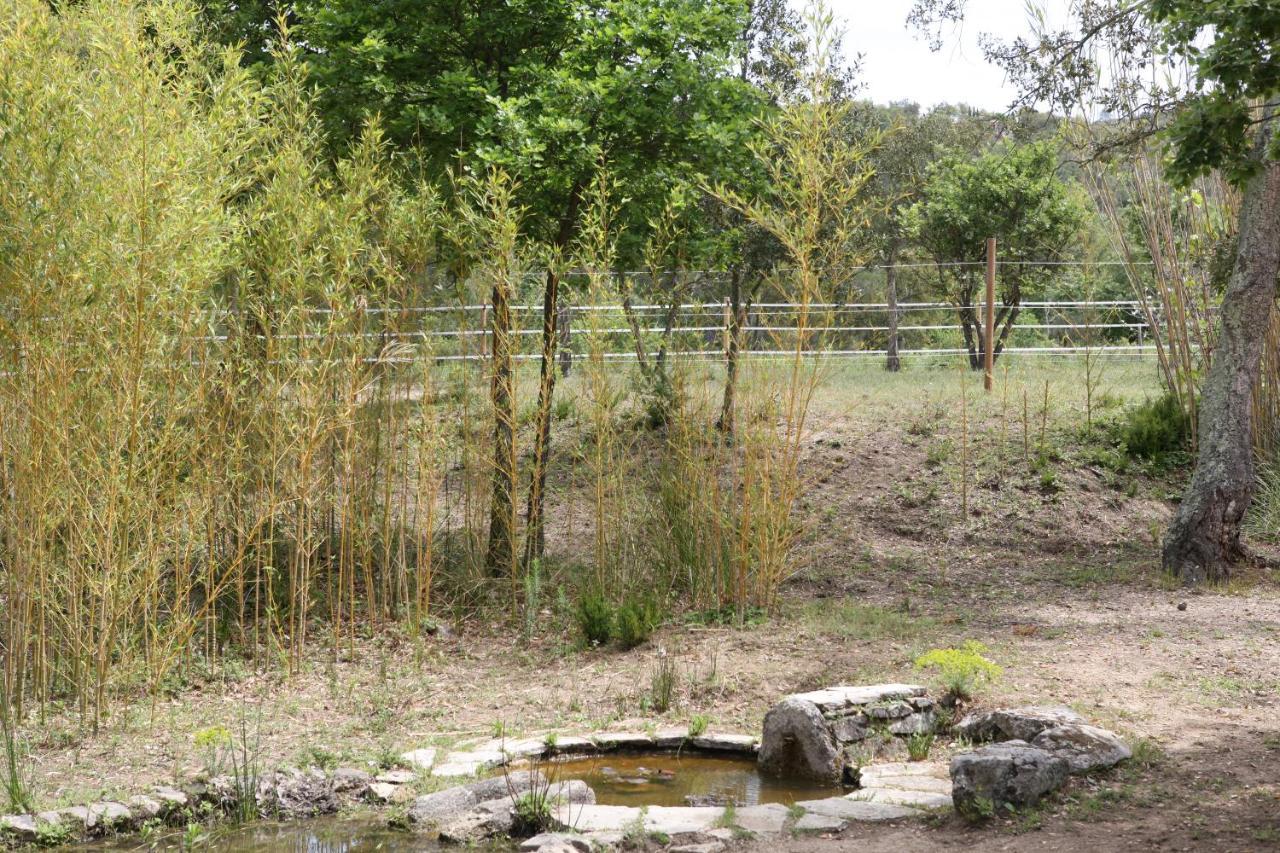 Le Plan-de-la-Tour Villa Villekulla Dependance Avec Spa Privatif מראה חיצוני תמונה