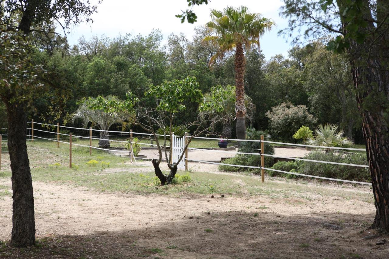 Le Plan-de-la-Tour Villa Villekulla Dependance Avec Spa Privatif מראה חיצוני תמונה