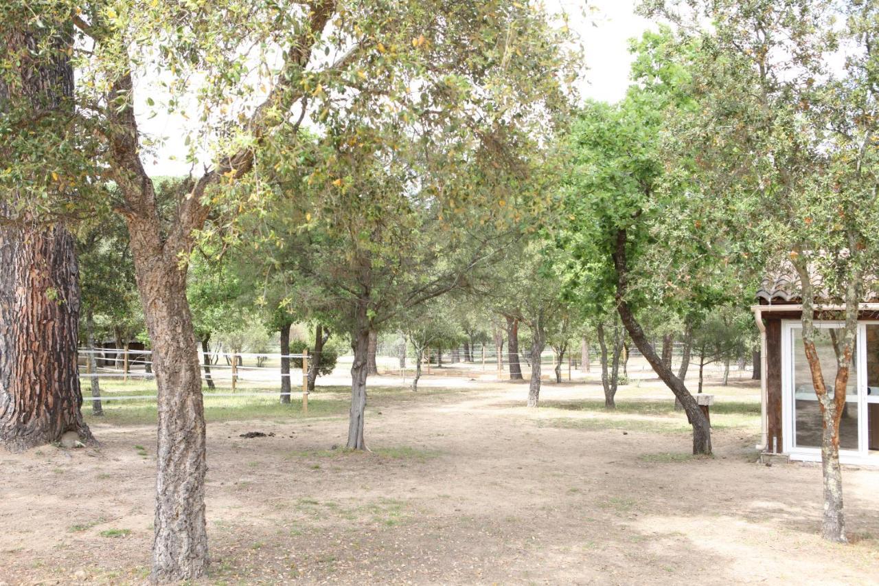 Le Plan-de-la-Tour Villa Villekulla Dependance Avec Spa Privatif מראה חיצוני תמונה