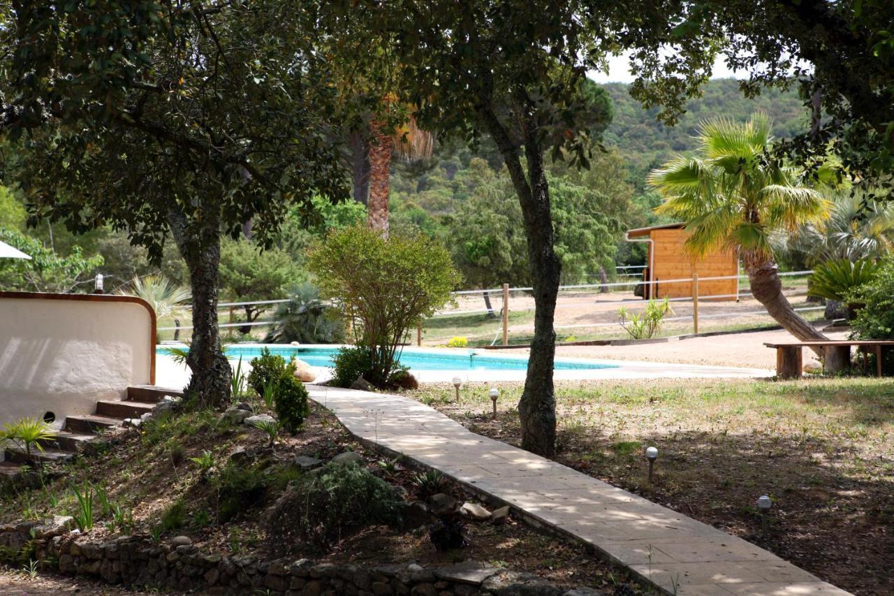 Le Plan-de-la-Tour Villa Villekulla Dependance Avec Spa Privatif מראה חיצוני תמונה